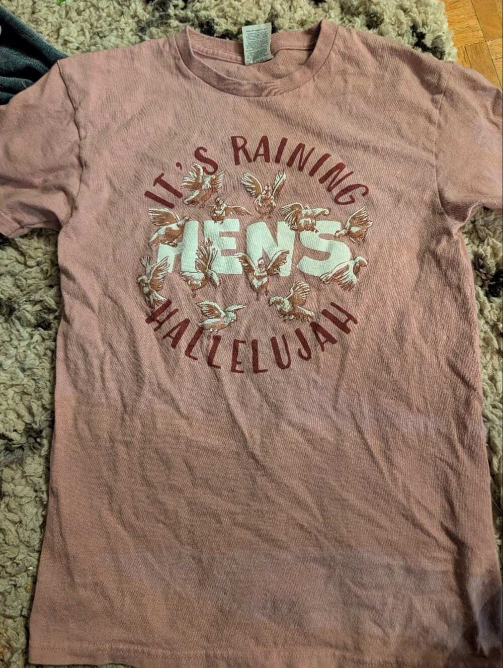 It's Raining Hens Funny Chicken Shirt Size Small